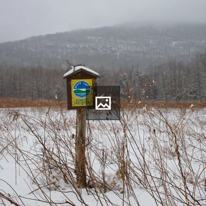 State Land Forest Preserve Sign on Birdhouse