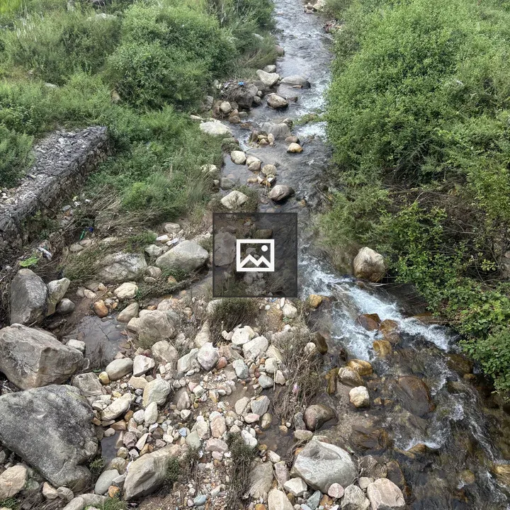 Stream Through Rocky Greenery