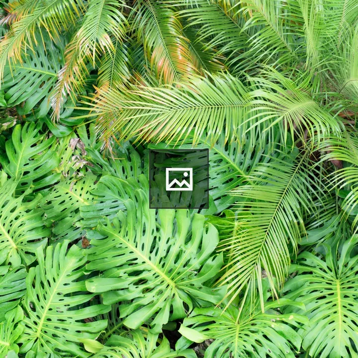 Lush tropical leaves