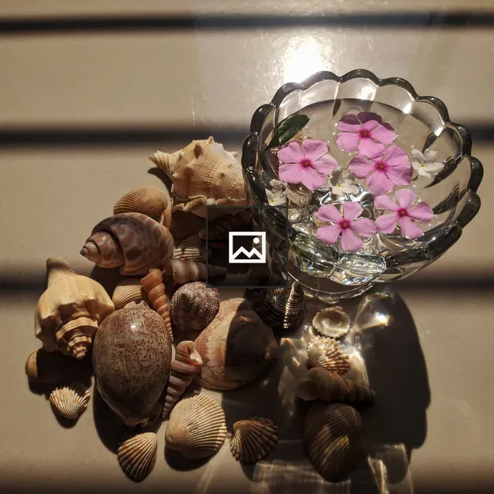 Sea shell and Periwinkle