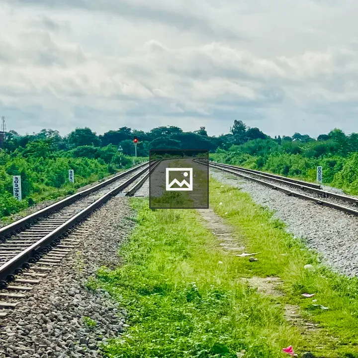 Diverging Railway Tracks with Green Surroundings