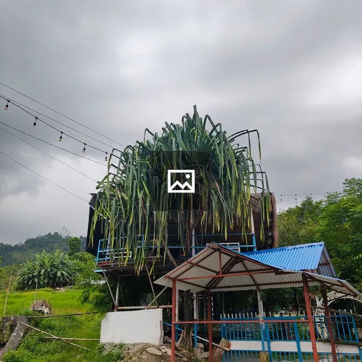 Metal structure with rooftop garden