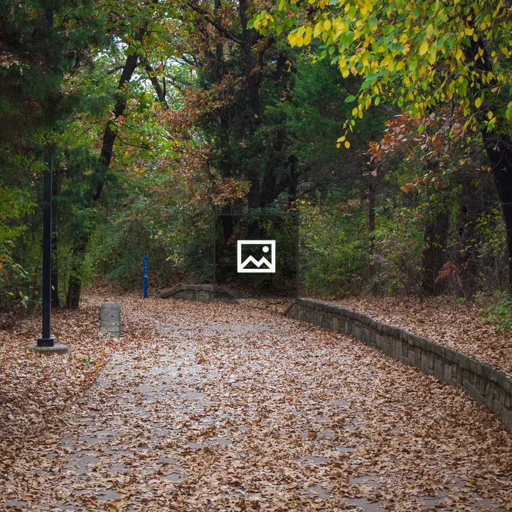 Park Trail Covered in Leaves