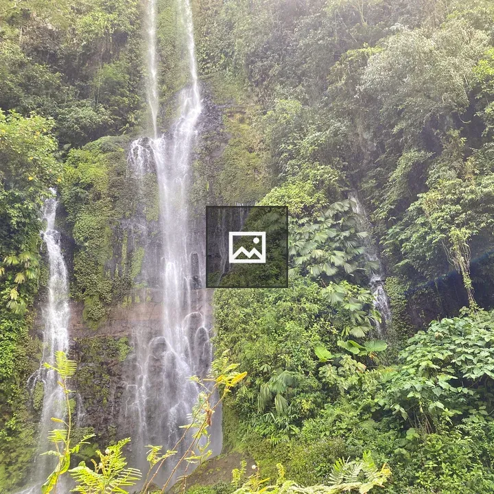 Waterfalls in Dense Green Landscape
