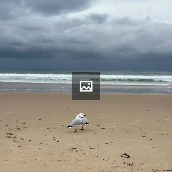 Two seabirds on muddy shore