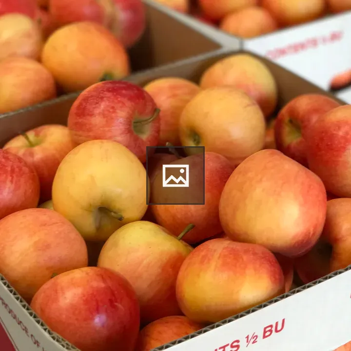 Boxes of Fresh Apples