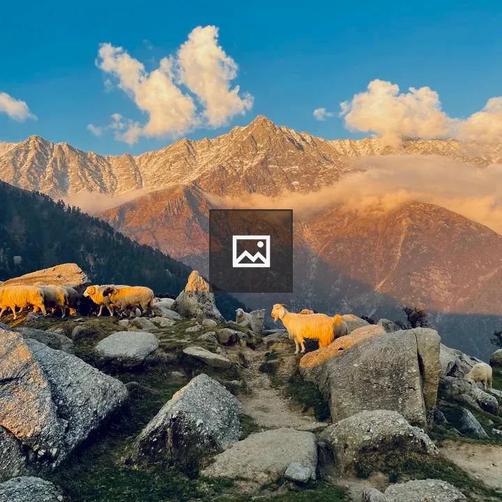 Sheep on Mountain