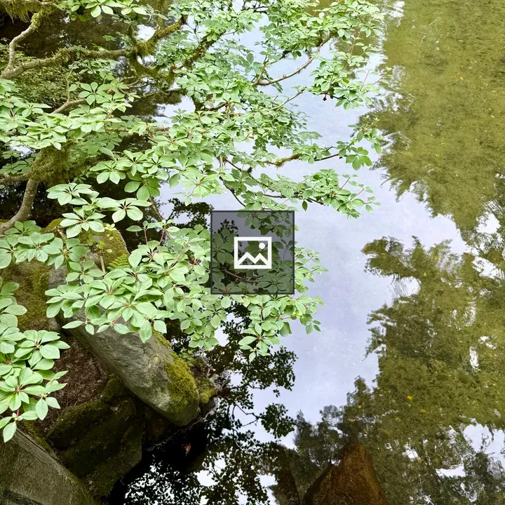 Branch with green leaves over pond