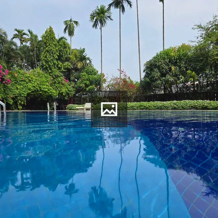 Tranquil pool with palm trees