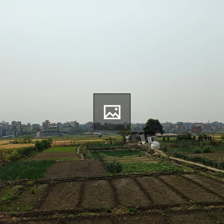 Rural farmland landscape