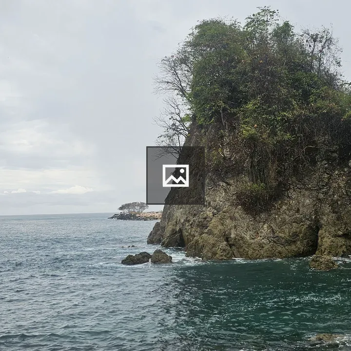 Rock with Vegetation on Coastal Shore