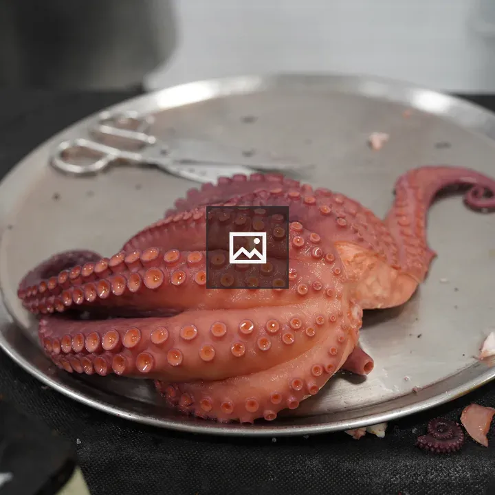Octopus on a steel tray