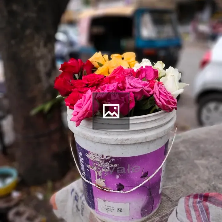 Roses in a Bucket by roadside