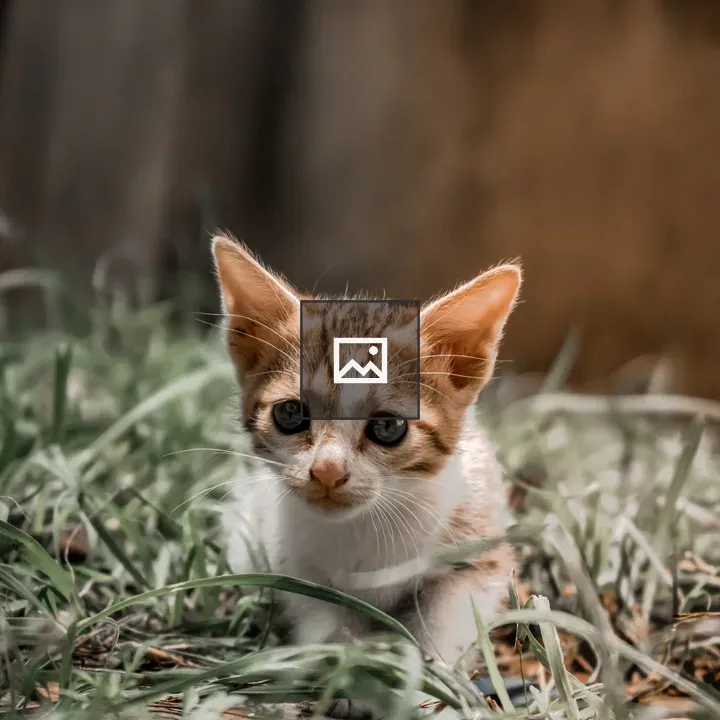 Cute tiny cat on grass