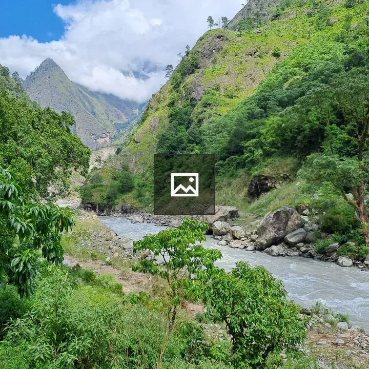 Scenic green hillside landscape