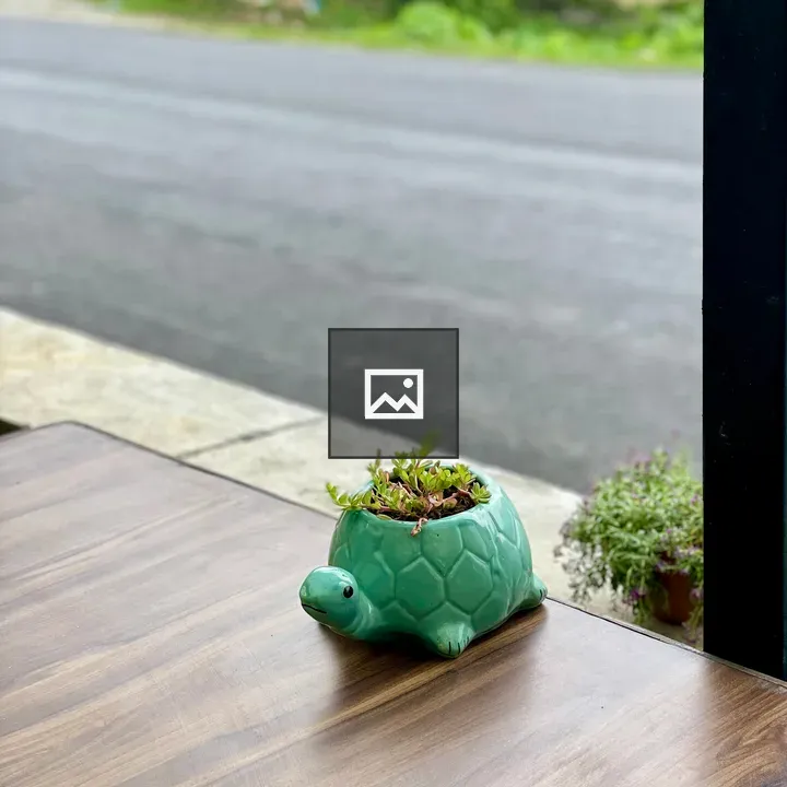 Turtle-shaped planter on a table