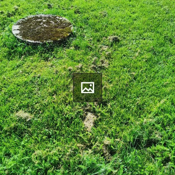 Circle, rock and grass