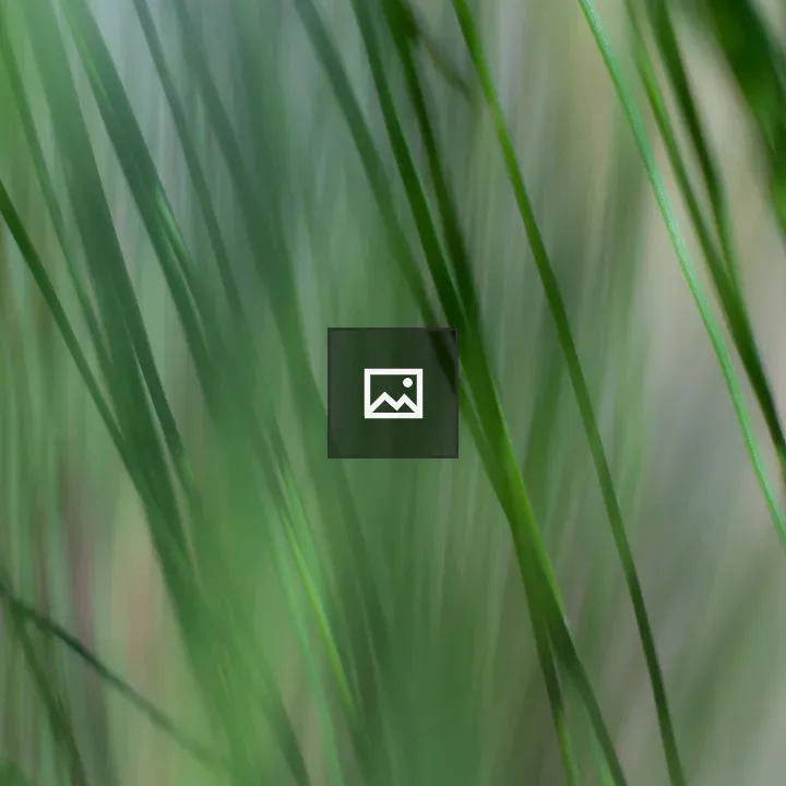 Abstract blades of grass