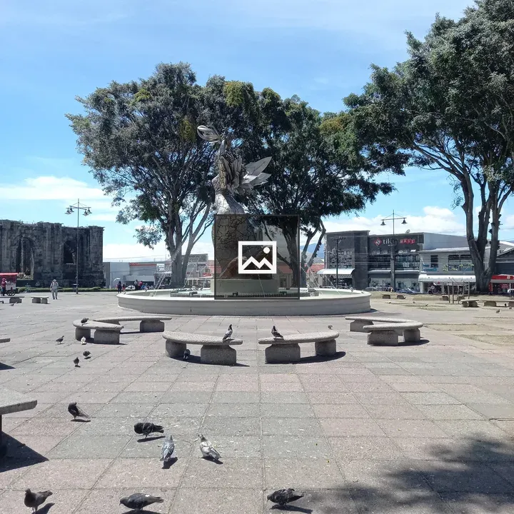 Pigeons in Ruins Park Fountain