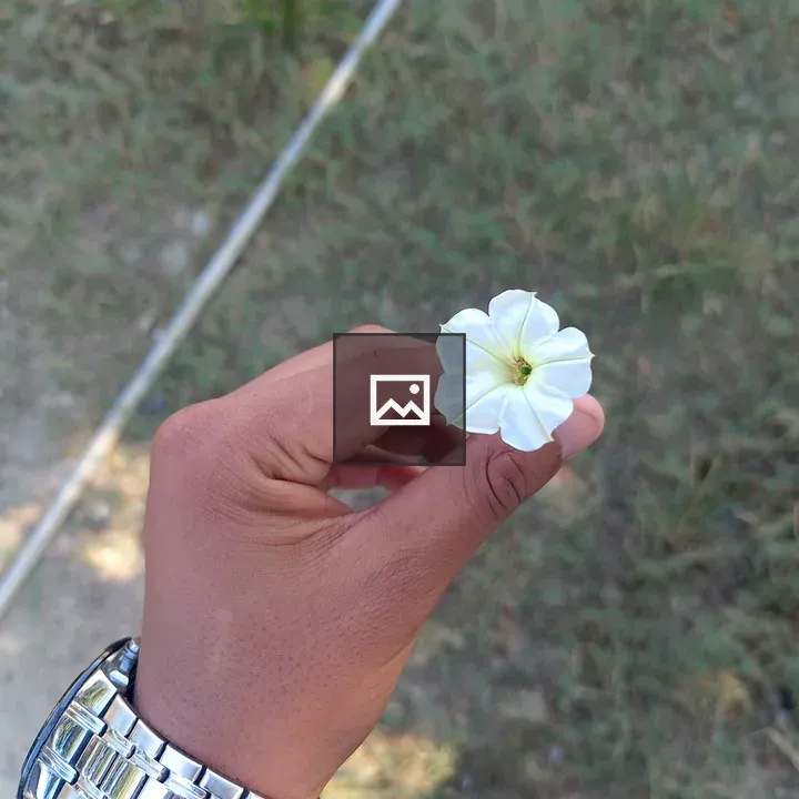 Hand with white flower in grass