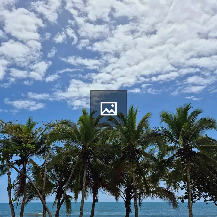 Row of palm trees by the coastline