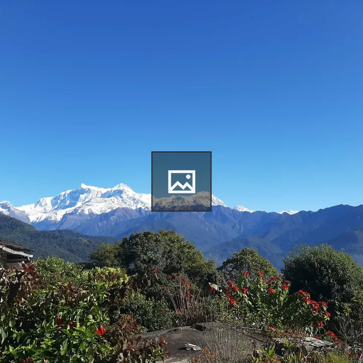 White Mountain Range View