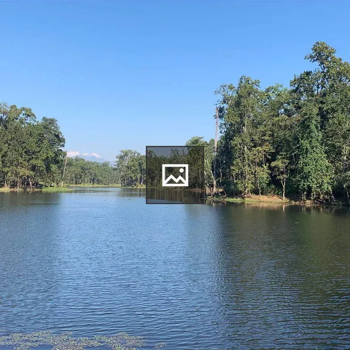 Calm river among green trees