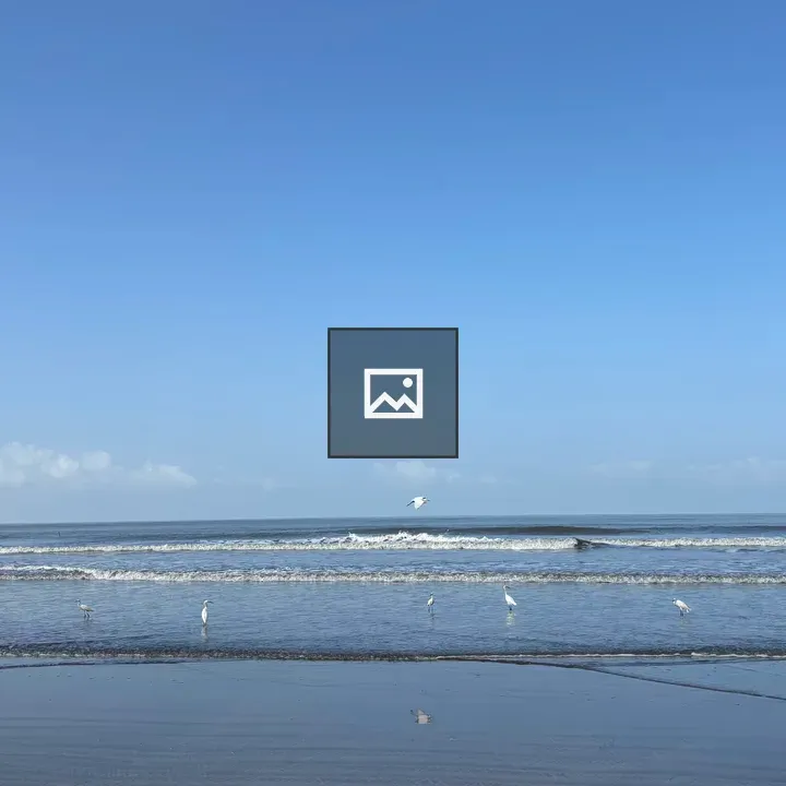 Calm Beach Scene with Birds