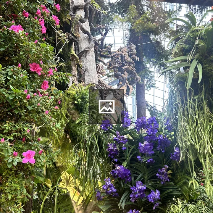 Indoor garden with pink and purple flowers