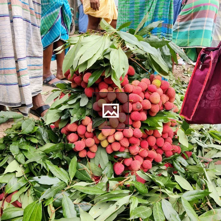 Fruit Market in Raniganj