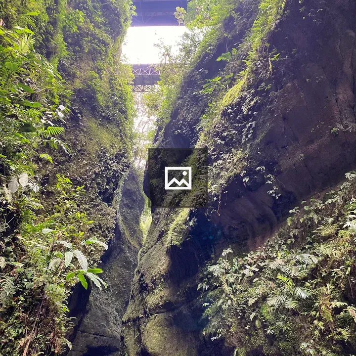 Bridge over mossy canyon walls
