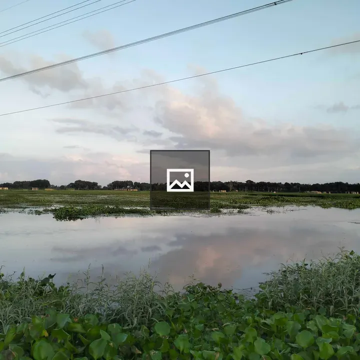 Tranquil landscape water marsh