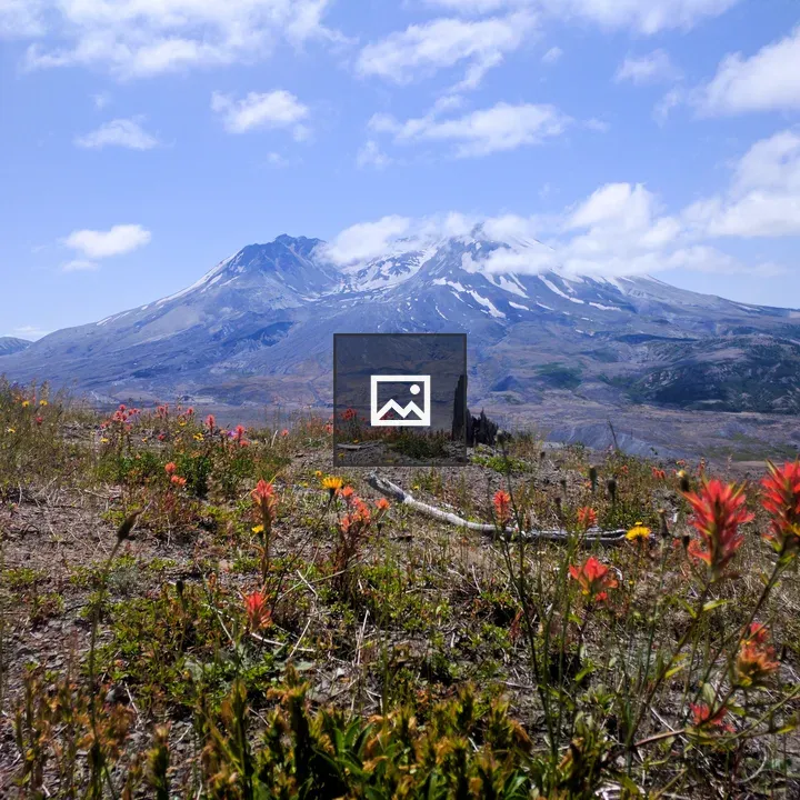Mount Saint Helens with wildflowers