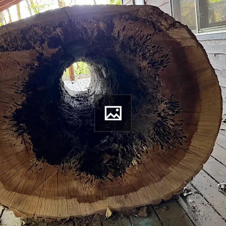 View through hollow log on porch