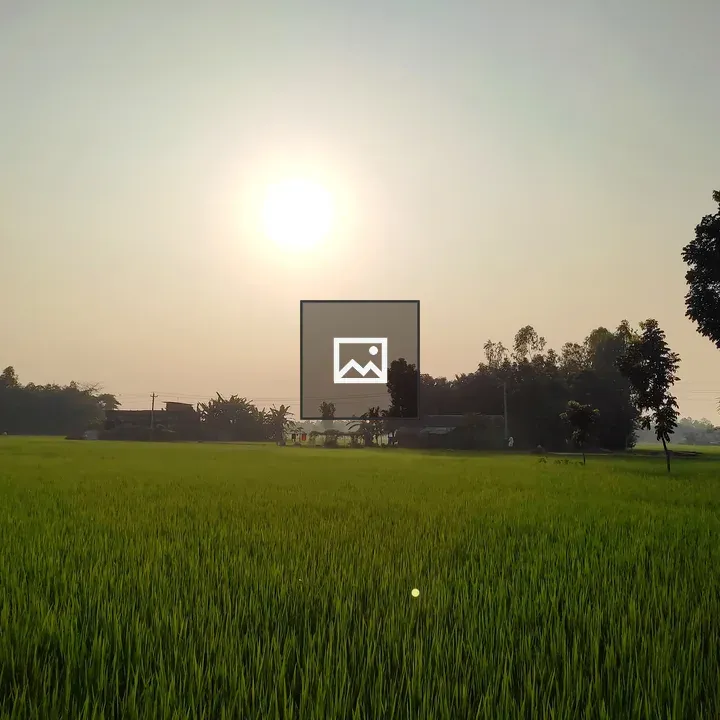 Afternoon sun over field and houses