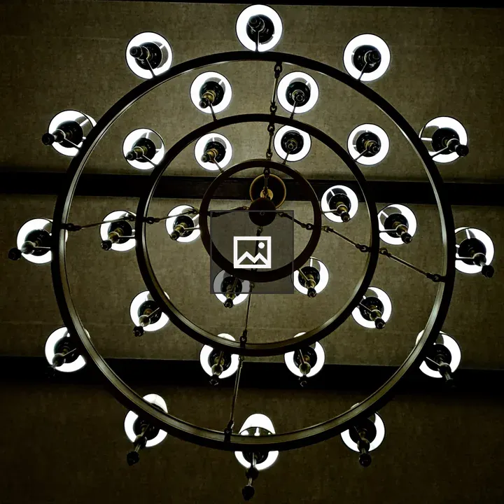 Ceiling Light Fixture