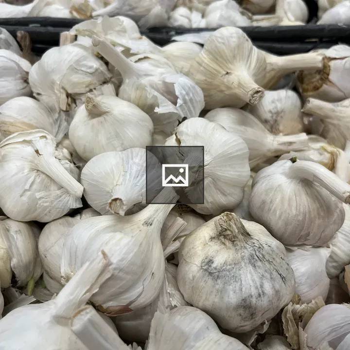 Basket of garlic bulbs