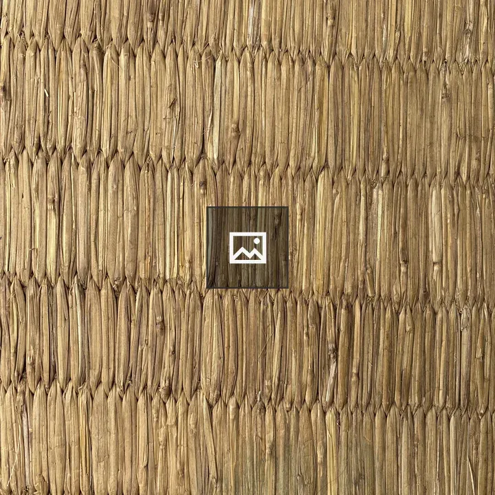 Close-up Texture of Dried Plant Material