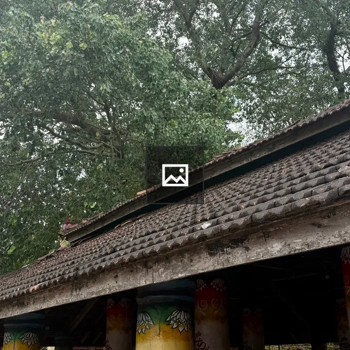 Thatched Structure with Colorful Columns