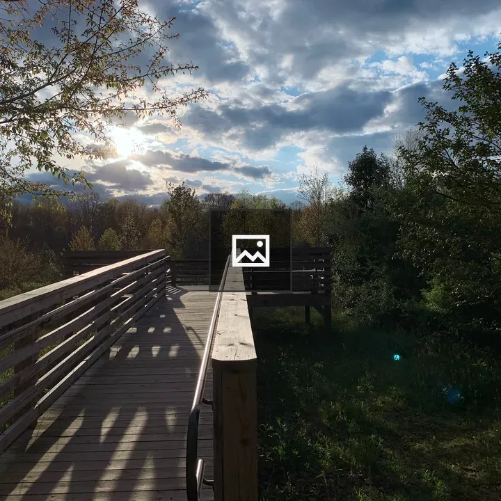 Long Point Trail Landscape