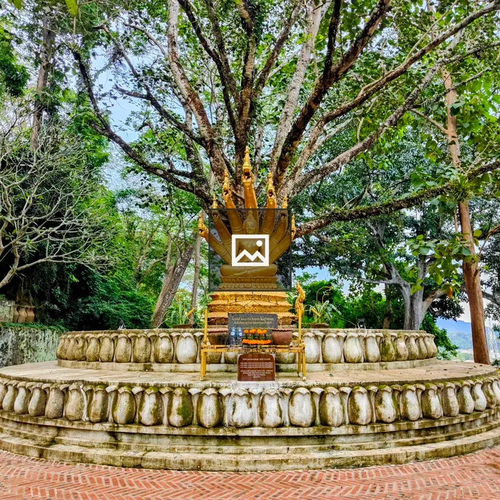 Buddha Statue with Naga at Wat Phousi