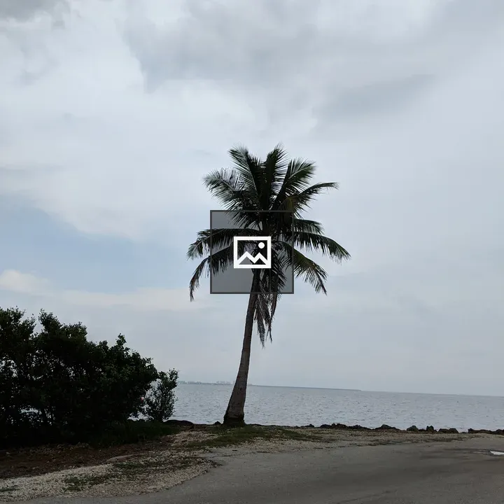 Palm Tree at Land-Sky Edge