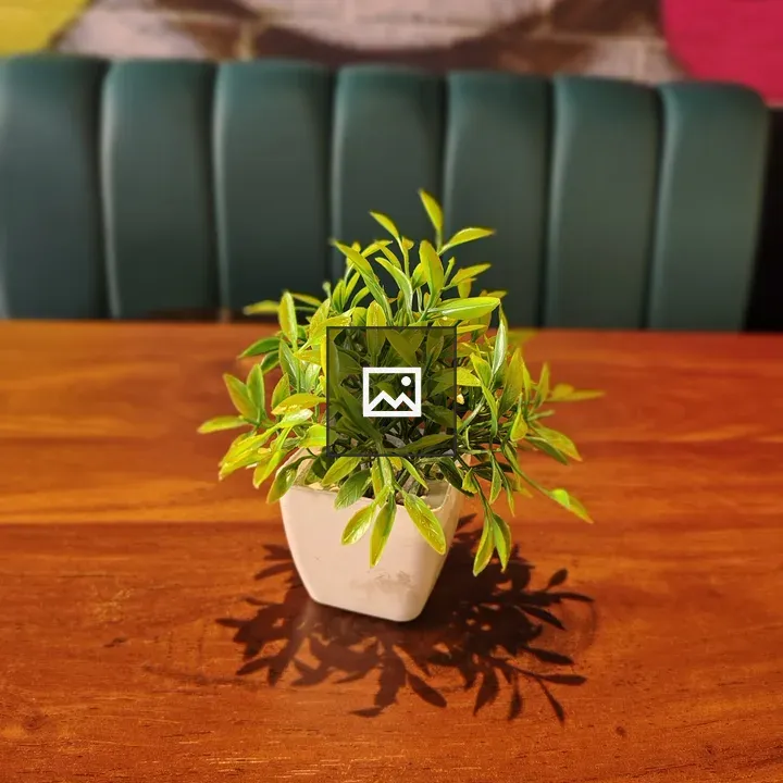 Potted plant on wooden table