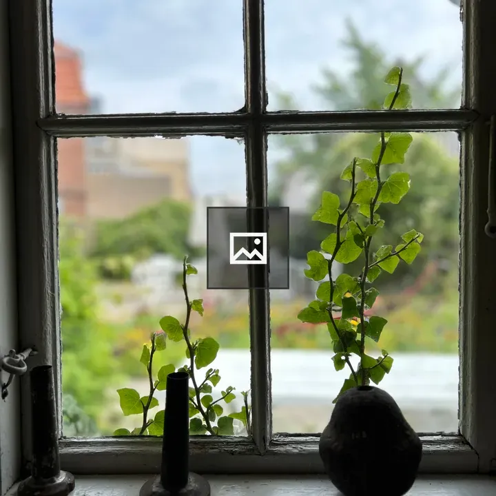 Old Window with Ivy and Items