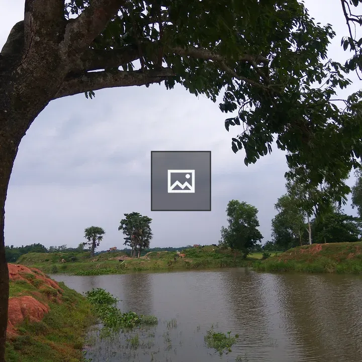 Village Lake in Afternoon Light