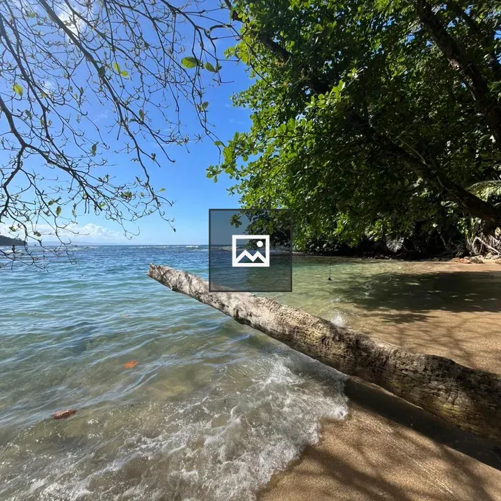 Beach shoreline with clear water