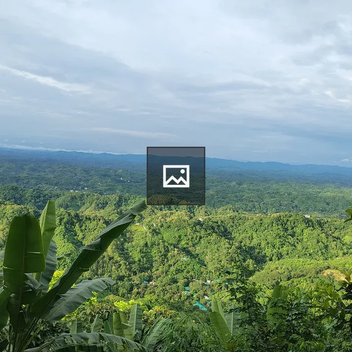 Panorama of Green Hills Landscape
