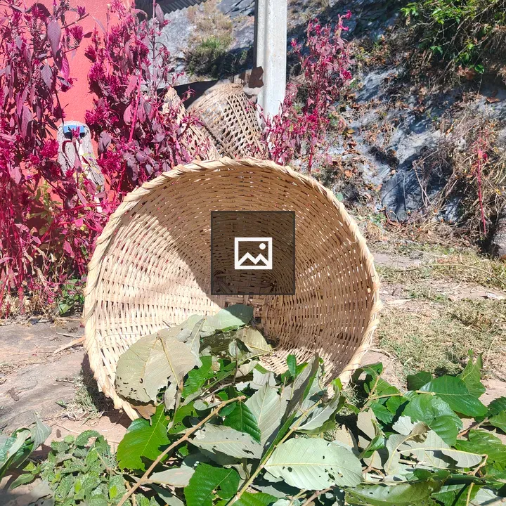 Wicker Basket on Ground