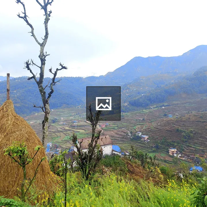 Terraced rural landscape with mountains