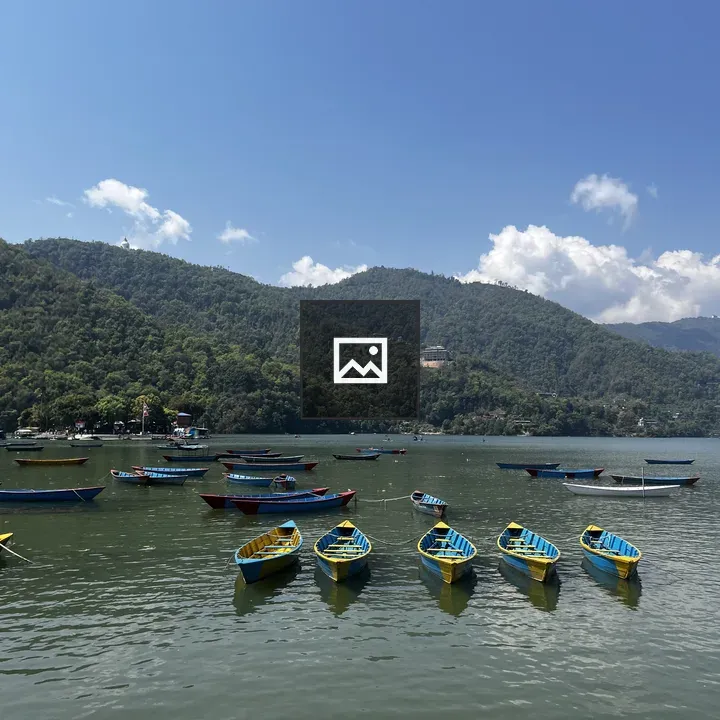 Line of blue and yellow boats